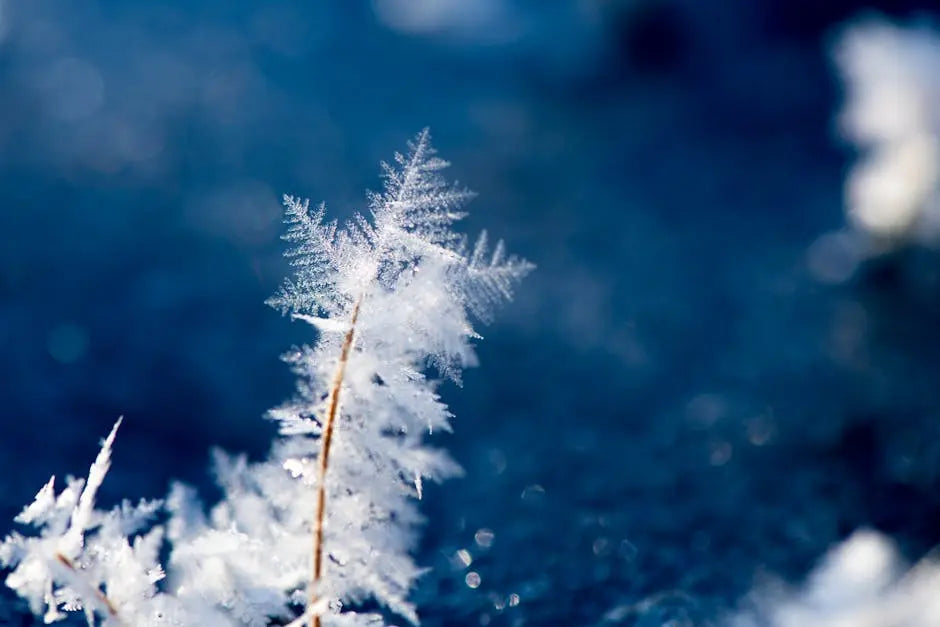 Where Do Unique Crystals Come From?