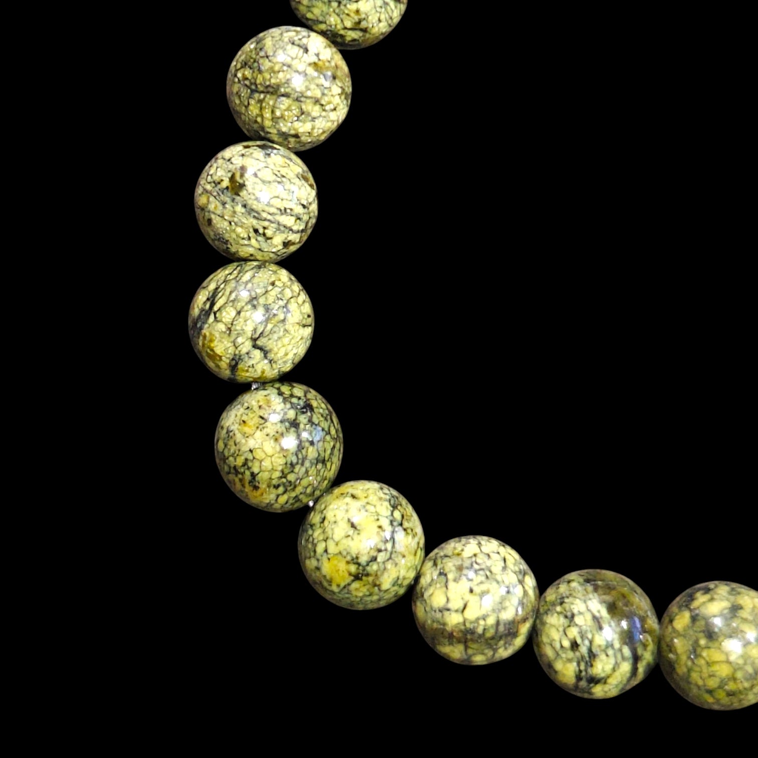 Snakeskin Jasper Bracelet 8mm Natural Stones Stretches 